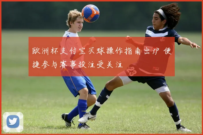 欧洲杯支付宝买球操作指南出炉 便捷参与赛事投注受关注