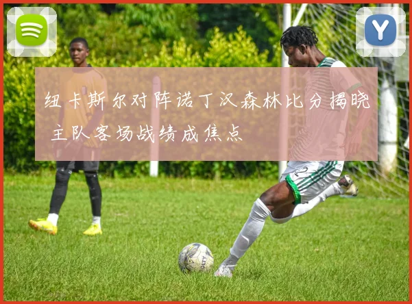纽卡斯尔对阵诺丁汉森林比分揭晓 主队客场战绩成焦点