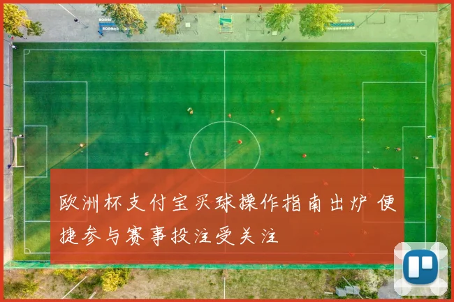 欧洲杯支付宝买球操作指南出炉 便捷参与赛事投注受关注