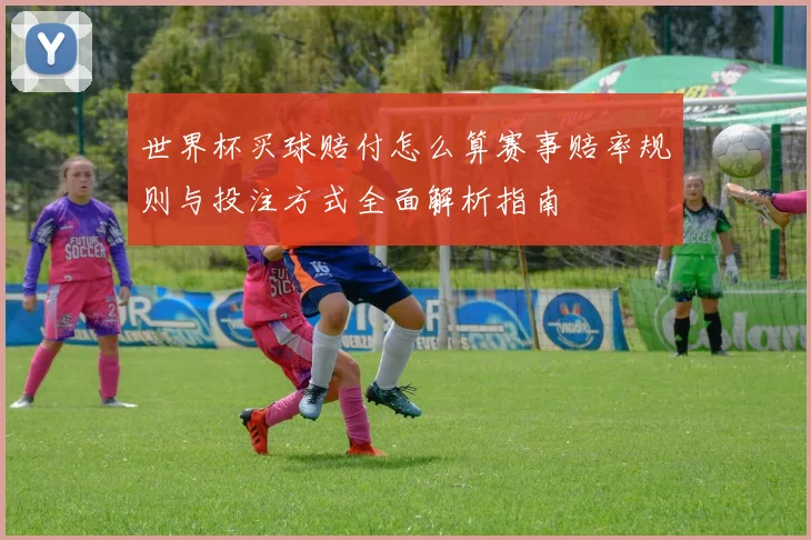 世界杯买球赔付怎么算赛事赔率规则与投注方式全面解析指南