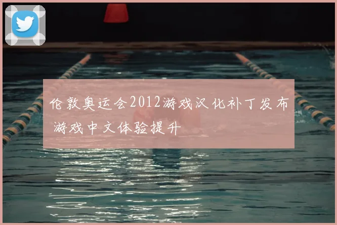伦敦奥运会2012游戏汉化补丁发布 游戏中文体验提升