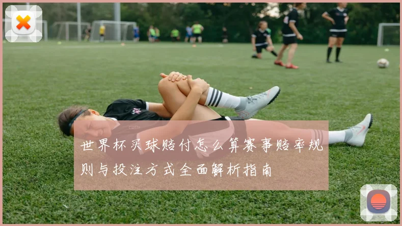 世界杯买球赔付怎么算赛事赔率规则与投注方式全面解析指南