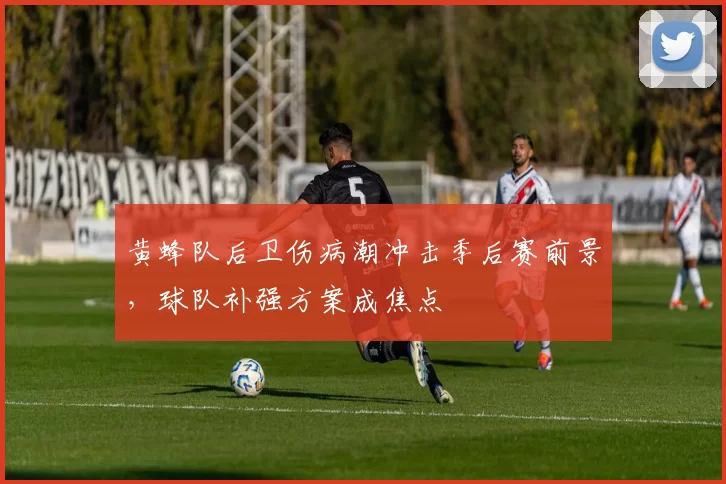 黄蜂队后卫伤病潮冲击季后赛前景,球队补强方案成焦点