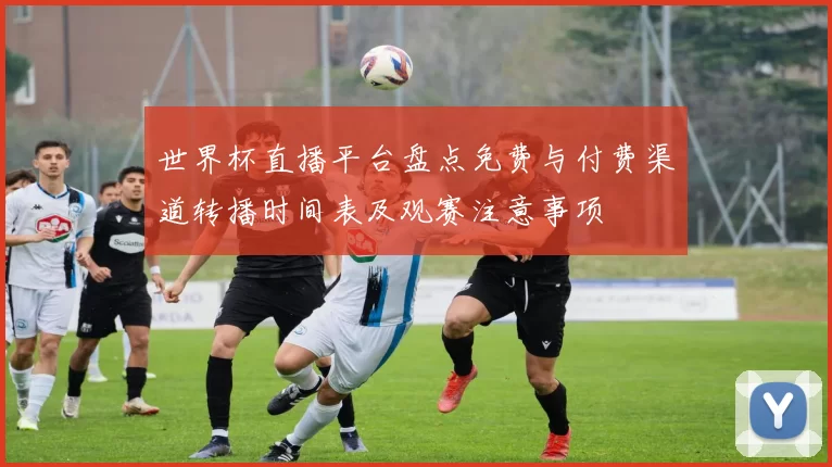 世界杯直播平台盘点免费与付费渠道转播时间表及观赛注意事项