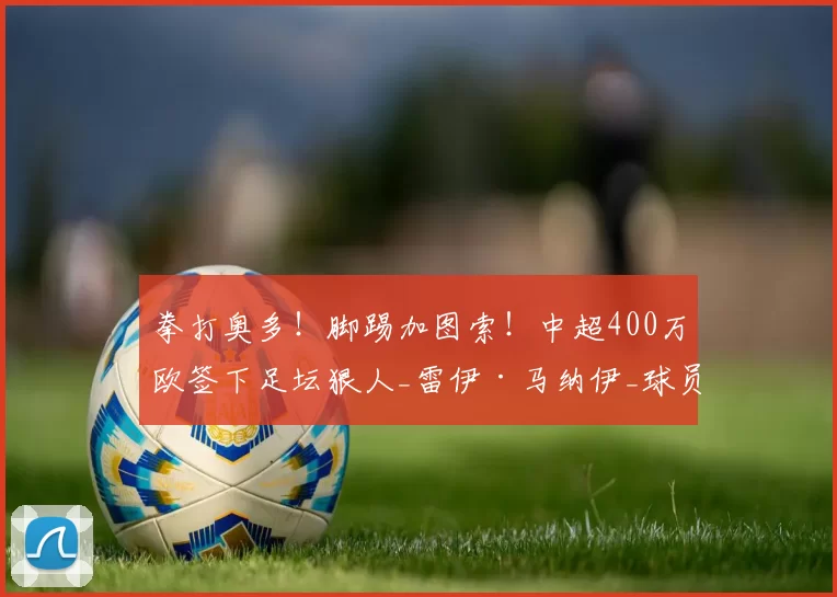 拳打奥多！脚踢加图索！中超400万欧签下足坛狠人_雷伊·马纳伊_球员_球迷